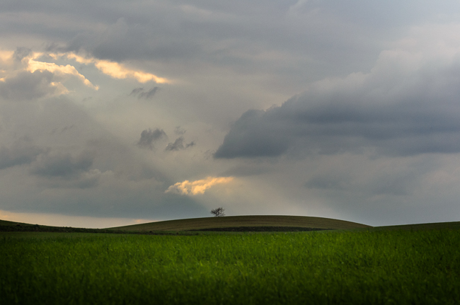 fot. Marta Reszka &copy; 2014. Kashubian fields - Kaszubskie pola