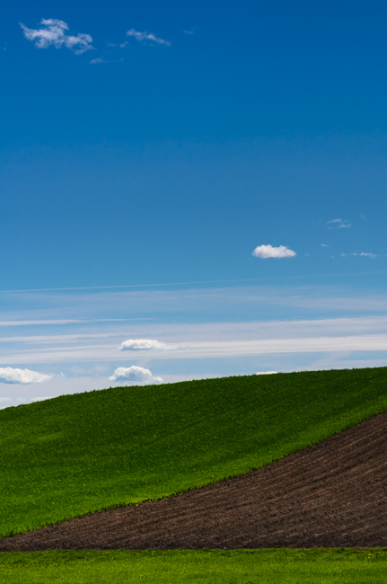 fot. Marta Reszka &copy; 2014. Kashubian fields - Kaszubskie pola