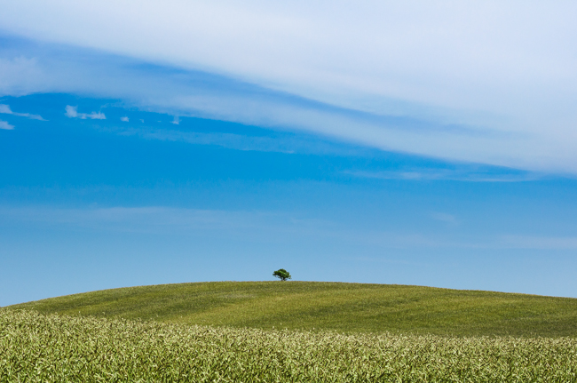 fot. Marta Reszka &copy; 2013. Kashubian fields - Kaszubskie pola