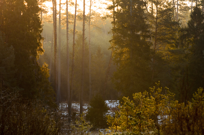 fot. Marta Reszka &copy; 2013. Kartkowo reserve - rezerwat przyrody w Kartkowie