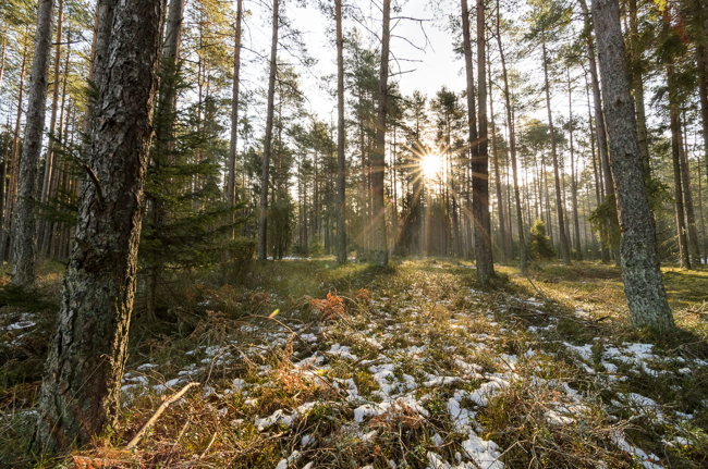 fot. Marta Reszka &copy; 2013. Kartkowo reserve - rezerwat przyrody w Kartkowie