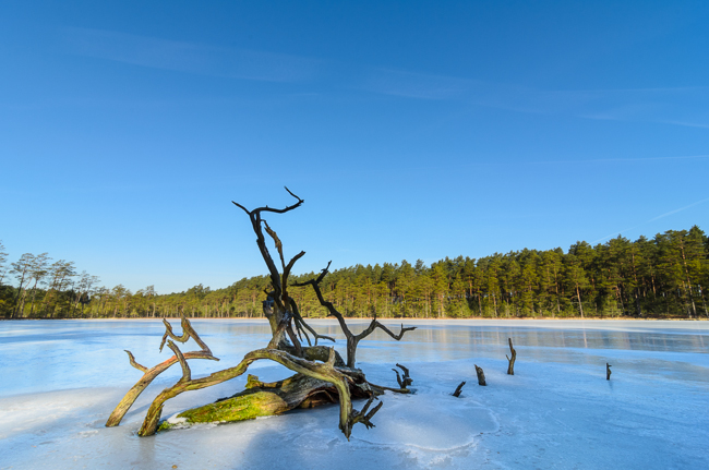 fot. Marta Reszka &copy; 2013. Kartkowo reserve - rezerwat przyrody w Kartkowie