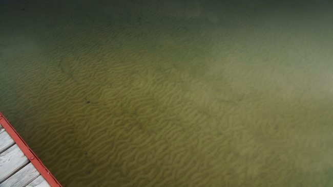 fot. Marta Reszka &copy; 2010. Lake, Kashubia - jezioro, Kaszuby