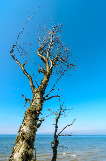 fot. Marta Reszka &copy; 2013. Debina beach - plaża w Dębinie
