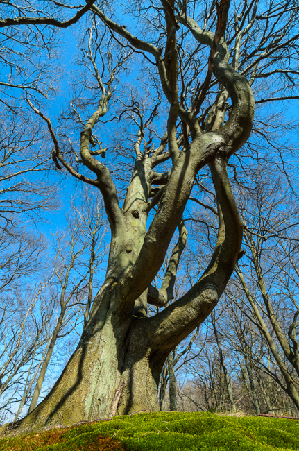 fot. Marta Reszka &copy; 2013. Debina beach - plaża w Dębinie