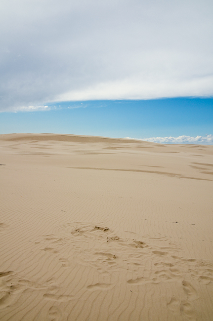 fot. Marta Reszka &copy; 2011. Leba dunes - wydmy w Łebie