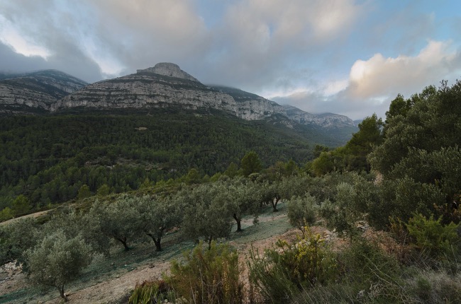 &copy; Marta Reszka - Spain, Benigembla