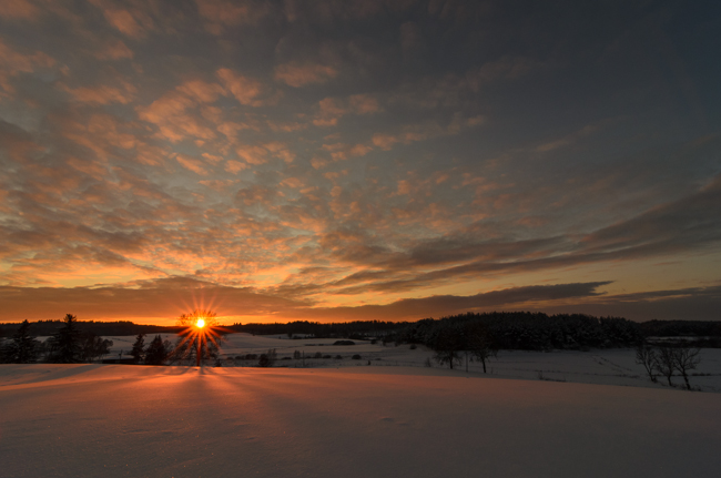 fot. Marta Reszka &copy; 2012. Winter landscape - zimowy krajobraz